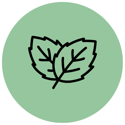 Alt Image