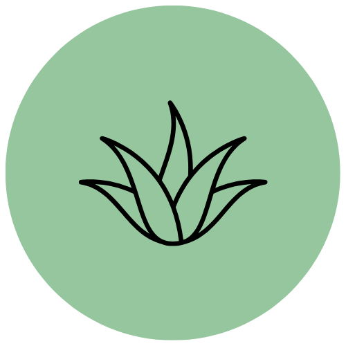 Alt Image